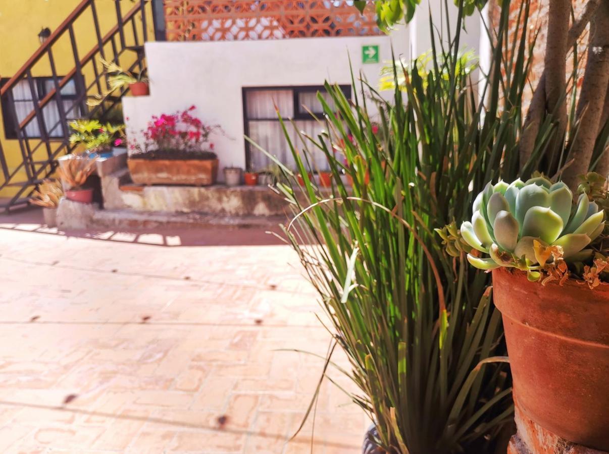 تشولولا Santa Josefita B&B المظهر الخارجي الصورة